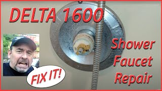 SHOWER DRIPPING How to Fix a Delta Shower Faucet leak Single Handle Universal Seals Delta 1600 [upl. by Marika]