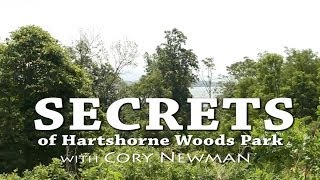 JERSEY BAYSHORE COUNTRY  Secrets of Hartshorne Woods [upl. by Suirtemid220]