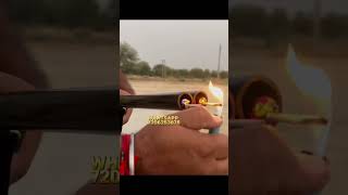 Diwali dhamaka toy gun airsoftgun diwalispecial ytshorts shortsvideo shortshorts shorts [upl. by Erelia687]