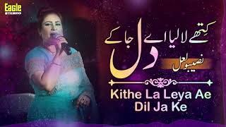 Kithe La Leya Ae Dil Ja Ke  Naseebo Lal  Eagle Stereo  HD Video [upl. by Naryb]