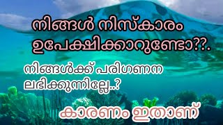 നിസ്കാരം ഉപേക്ഷിച്ചാലുള്ള ശിക്ഷകൾദുനിയാവിലും ആഹിറത്തിലും പരാജയപ്പെടും [upl. by Balthazar270]