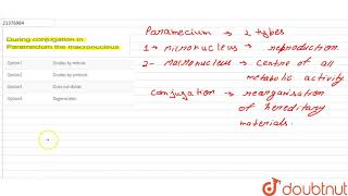 During conjugation in Paramecium the macronucleus [upl. by Yrahcaz959]