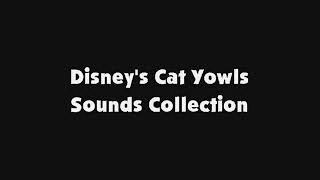 Disneys Cat Yowls Sounds Collection [upl. by Joselyn]