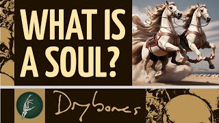 What is the Human Soul [upl. by Nraa]