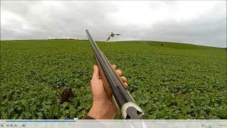 Concours Saint Hubert partie 1 départemental  chasse du faisan au chien darrêt braque allemand [upl. by Feola172]