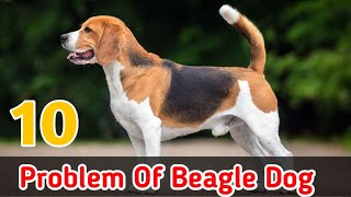 10 problem of beagle dog  Problem Of Dog [upl. by Huxley]