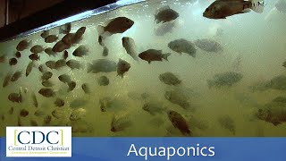 Aquaponics Tour [upl. by Farrow]