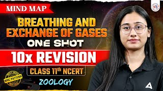 BREATHING AND EXCHANGE OF GASES CLASS 11 ONE SHOT  NEET 2024  ZOOLOGY BY BHARTI MAM [upl. by Eillod]