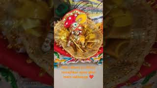 Meri Murti ko Putra samajhkar apne ghar mein seva karenge 🙏🙏 hare Krishnatrendingshorts laddu [upl. by Ha]