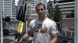 TRX Movements with a Stability Ball [upl. by Carthy]