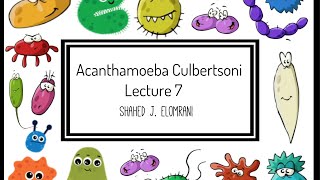 8 Acanthamoeba Culbertsoni [upl. by Amling]