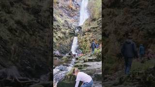 Eugene’s Spectacular Pistyll Rhaeadr Adventure Waterfalls amp Wonder 🌊🐾 [upl. by Diad]