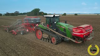 Fendt 1167 MT Raupe  Rapsdrillen  Horsch Focus [upl. by Nerrag]