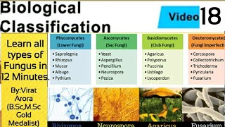 Types of fungus classification of fungiphycomycetesascomycetesbasidiomycetesdeuteromycetesNEET [upl. by Finnigan]