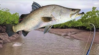 Catching Barramundi During a Tough Bite A Simple Strategy [upl. by Pedroza694]