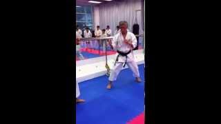 Kumite Application  Cover Block Counter [upl. by Nirda313]