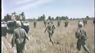 Battlefield Vietnam  196667 Ground Operations [upl. by Enovad]