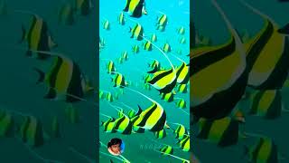 Moorish Idol Aggregation in fish breeding shortvideo [upl. by Adamsun]