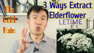 Elderflower Benefits and Uses Elderflower Tea Tincture and Hydrosol Differences and How to Extract [upl. by May]