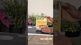 Unboxing bio pesticides ⚡️triple attack ✨️biopesticides biopesticide meaning [upl. by Eirene]