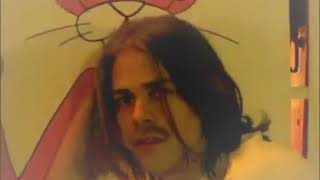 Ariel Pink  Politely Declined music video Reupload [upl. by Jt433]