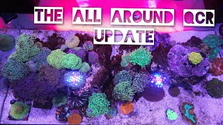 All Around Update  310 Mega Matrix  Aqueon 40 Gallon Breeder  Frag Tank  Red Sea Tank amp MORE [upl. by Alboran]