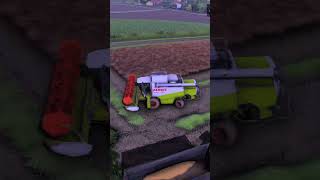 FULL CLAAS has MUSTARD HARVEST fs22 farming farmingsimulator ls22 farmingsimulator22 fendt [upl. by Ydnes736]