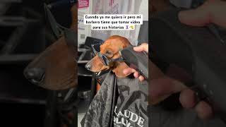 LLEGUÉ DE LA BARBERÍA El video del resultado es lo más importante 💈💈💈 barberia barber [upl. by Yrollam]