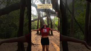 Exploring Aurovilleaurovilletravelpuducherryaurovillefrenchcolonsouthindiantamilviralvideo [upl. by Urian883]