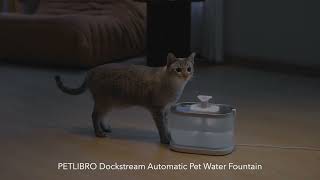 Cat Water Fountain PETLIBRO [upl. by Akedijn]