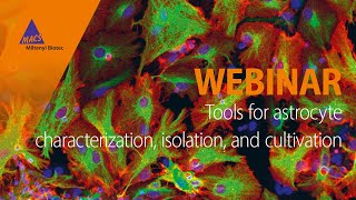 Advancing astrocyte research with novel tools WEBINAR [upl. by Ainnet]