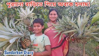 আজ পুরানো বাড়িতে গিয়ে অবাক হয়ে গেলাম Sundarban Diary [upl. by Cordalia411]