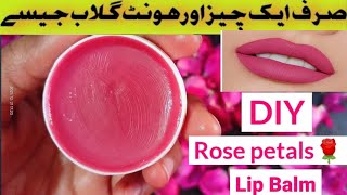 Lip Balm  Rose Balm for Pink Lips  Diy Pink Lips  Homemade Lips Waxcookandhacks [upl. by Fonseca927]