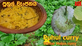 රසවත් ගුණදායි අළු පුහුල් වෑංජනය  Puhul Curry EP187 [upl. by Vil]