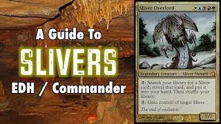 MTG  A Study In Slivers  A Guide To EDH  Commander Sliver Decks in Magic The Gathering [upl. by Ode]