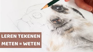 Tekenen voor beginners DE MEETMETHODE stap voor stap tutorial [upl. by Karee467]