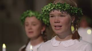 Swedish Lucia Celebration – online concert [upl. by Jaela]