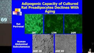 SENS5  Aging Adipose Tissue and Cellular Senescence [upl. by Ynnej]