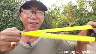 Khắc phục thẹo ngành Mun đuôi công ngày 2122024 HandMade slingshot  tancuong slingshot [upl. by Scrogan]