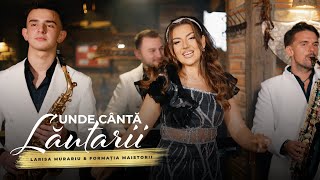 Larisa Murariu amp Formatia Maistorii  Unde canta lautarii  Videoclip Oficial [upl. by Jairia]