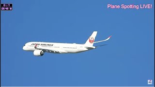 伊丹空港！Plane Spotting LIVE Osaka International Airport 02202024 [upl. by Atiluj]