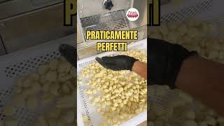 Gnoccatrice automatica GN6C la rivoluzione nella produzione di gnocchi del 2024 [upl. by Odeen800]