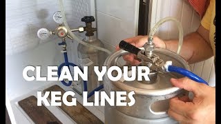 How to clean your kegerator beer lines  DO IT [upl. by Bang]