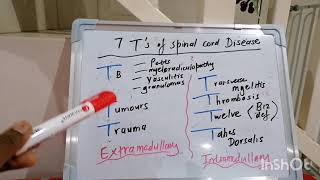 Mnemonic 14  Spinal Cord lesions [upl. by Llerol97]