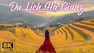 Lịch Trình Du Lịch HÀ GIANG 3 Ngày 2 Tự Túc Mới Nhất  Chợ Phiên Du Già Mã Pí Lèng Sông Nho Quế [upl. by Oakes]