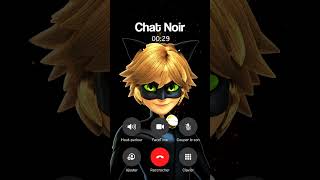 APPEL CHAT NOIR MIRACULOUS IL RÉPOND [upl. by Bala]