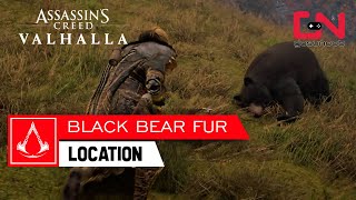 AC Valhalla Black Bear Fur Location Hunter Deliveries [upl. by Maximo]