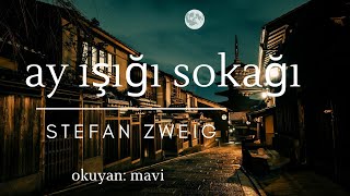 Ay Işığı Sokağı  Stefan Zweig Sesli Hikaye Öykü Tek Parça [upl. by Vincelette]