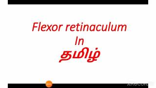 Flexor retinaculum in தமிழ்Anatomy in TamilCarpal Tunnel in தமிழ் [upl. by Dlareme617]