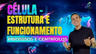 Biologia Celular  Célula  Estrutura e funcionamento  Ribosssos e Centríolos [upl. by Yht]